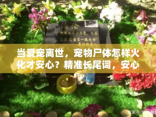 当爱宠离世，宠物尸体怎样火化才安心？精准长尾词，安心宠物火化）