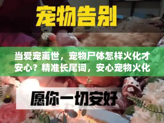 当爱宠离世，宠物尸体怎样火化才安心？精准长尾词，安心宠物火化）