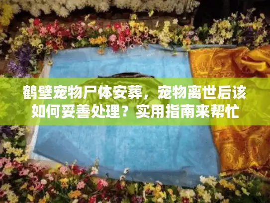 鹤壁宠物尸体安葬，宠物离世后该如何妥善处理？实用指南来帮忙