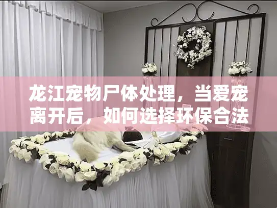 龙江宠物尸体处理，当爱宠离开后，如何选择环保合法方式？