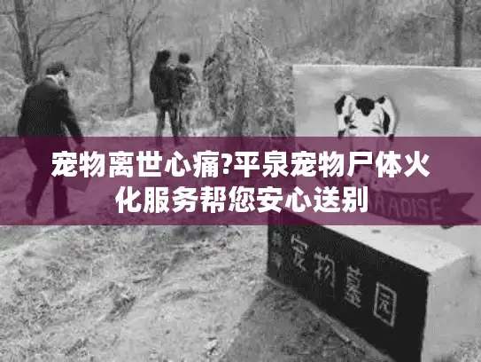 宠物离世心痛?平泉宠物尸体火化服务帮您安心送别