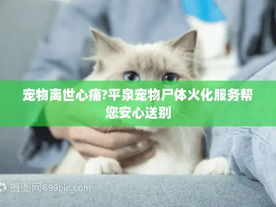 宠物离世心痛?平泉宠物尸体火化服务帮您安心送别