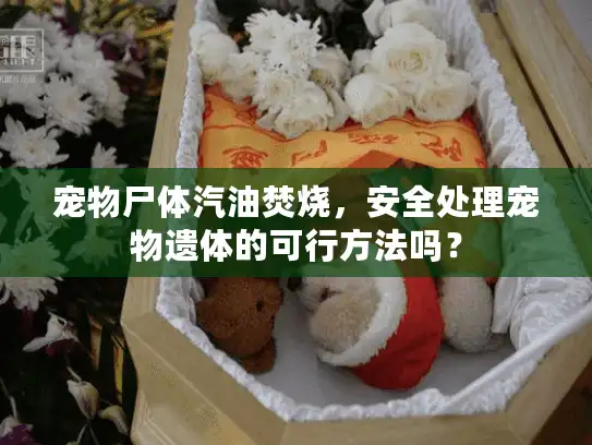 宠物尸体汽油焚烧，安全处理宠物遗体的可行方法吗？