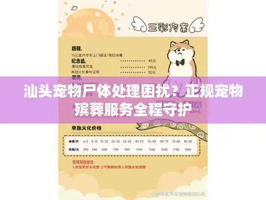 汕头宠物尸体处理困扰？正规宠物殡葬服务全程守护