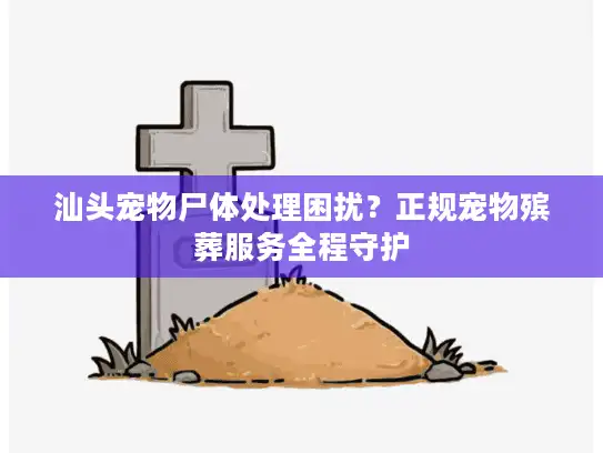 汕头宠物尸体处理困扰？正规宠物殡葬服务全程守护