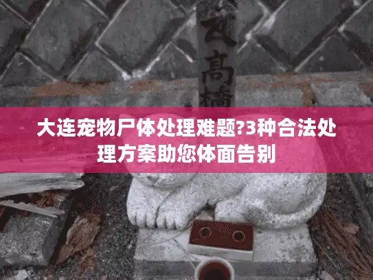 大连宠物尸体处理难题?3种合法处理方案助您体面告别