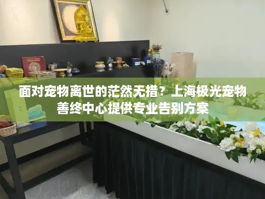 面对宠物离世的茫然无措？上海极光宠物善终中心提供专业告别方案