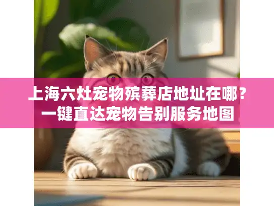 上海六灶宠物殡葬店地址在哪？一键直达宠物告别服务地图