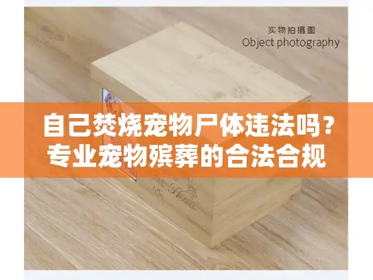 自己焚烧宠物尸体违法吗？专业宠物殡葬的合法合规指南