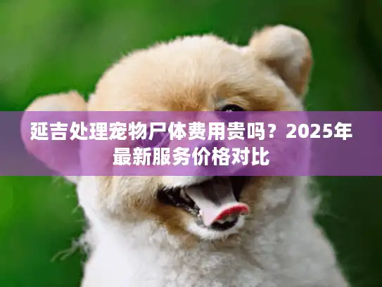 延吉处理宠物尸体费用贵吗？2025年最新服务价格对比