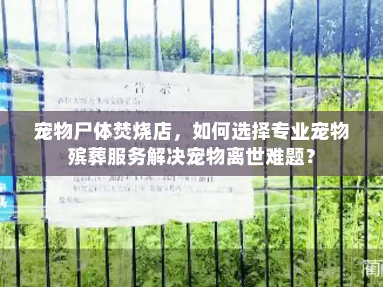 宠物尸体焚烧店，如何选择专业宠物殡葬服务解决宠物离世难题？