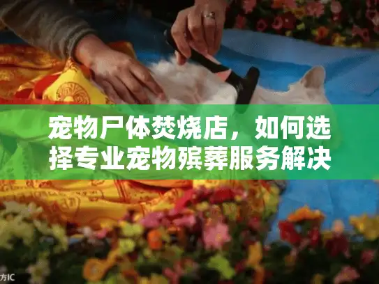 宠物尸体焚烧店，如何选择专业宠物殡葬服务解决宠物离世难题？