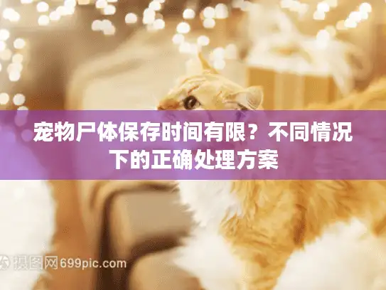 宠物尸体保存时间有限？不同情况下的正确处理方案