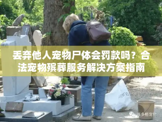 丢弃他人宠物尸体会罚款吗？合法宠物殡葬服务解决方案指南