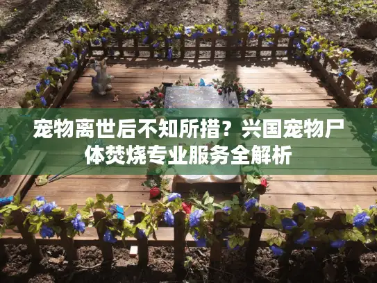 宠物离世后不知所措？兴国宠物尸体焚烧专业服务全解析