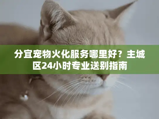 分宜宠物火化服务哪里好？主城区24小时专业送别指南