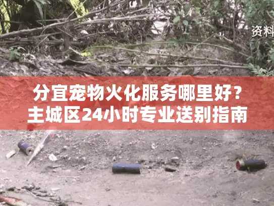 分宜宠物火化服务哪里好？主城区24小时专业送别指南