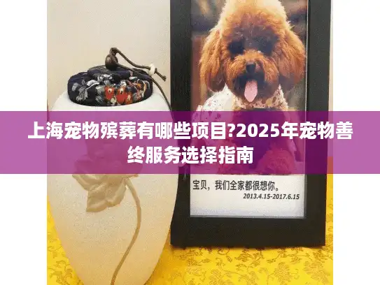 上海宠物殡葬有哪些项目?2025年宠物善终服务选择指南