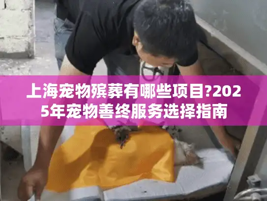 上海宠物殡葬有哪些项目?2025年宠物善终服务选择指南