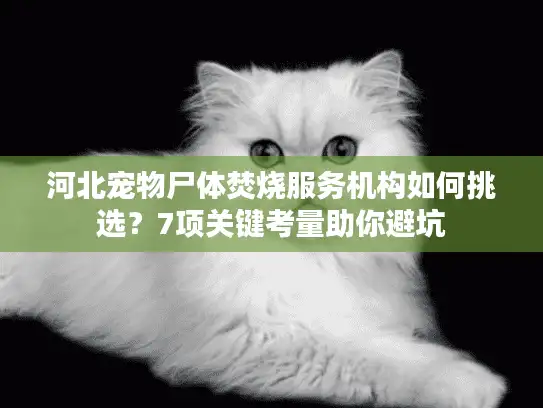 河北宠物尸体焚烧服务机构如何挑选？7项关键考量助你避坑