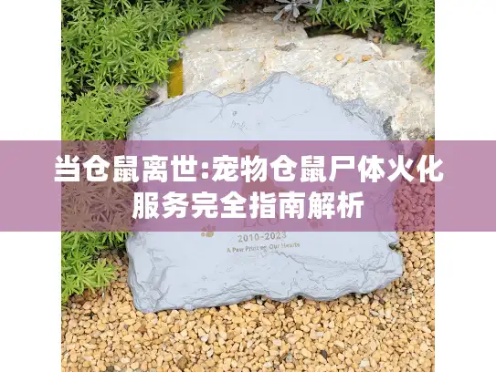 当仓鼠离世:宠物仓鼠尸体火化服务完全指南解析