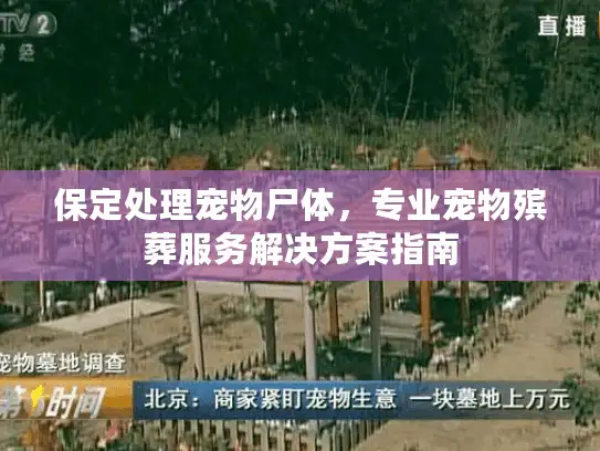 保定处理宠物尸体，专业宠物殡葬服务解决方案指南