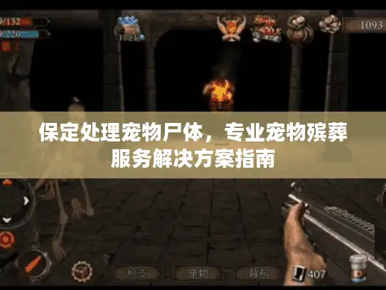保定处理宠物尸体，专业宠物殡葬服务解决方案指南