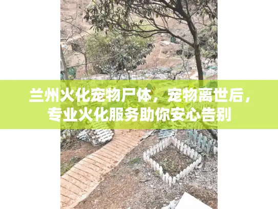 兰州火化宠物尸体，宠物离世后，专业火化服务助你安心告别