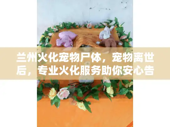 兰州火化宠物尸体，宠物离世后，专业火化服务助你安心告别