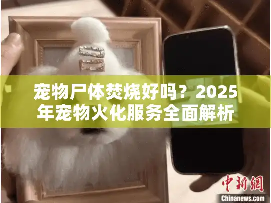 宠物尸体焚烧好吗？2025年宠物火化服务全面解析