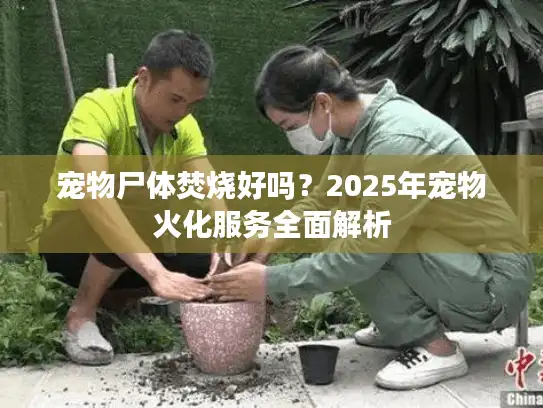 宠物尸体焚烧好吗？2025年宠物火化服务全面解析