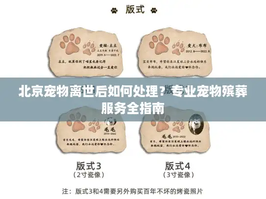 北京宠物离世后如何处理？专业宠物殡葬服务全指南