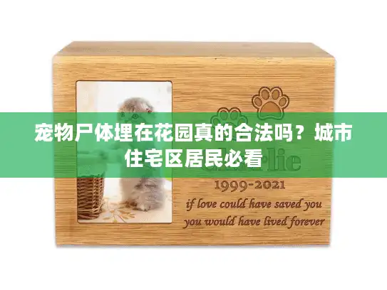 宠物尸体埋在花园真的合法吗？城市住宅区居民必看