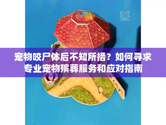 宠物咬尸体后不知所措？如何寻求专业宠物殡葬服务和应对指南