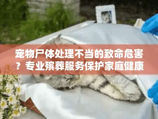 宠物尸体处理不当的致命危害？专业殡葬服务保护家庭健康