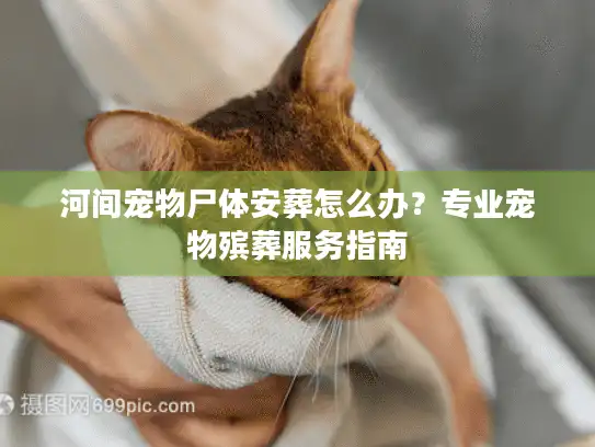 河间宠物尸体安葬怎么办？专业宠物殡葬服务指南