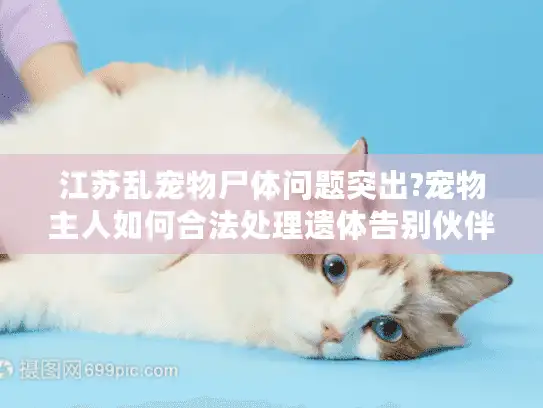 江苏乱宠物尸体问题突出?宠物主人如何合法处理遗体告别伙伴?
