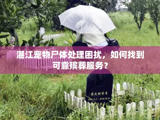 湛江宠物尸体处理困扰，如何找到可靠殡葬服务？