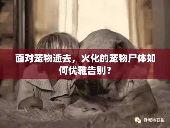 面对宠物逝去，火化的宠物尸体如何优雅告别？