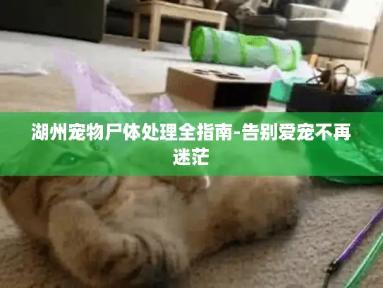 湖州宠物尸体处理全指南-告别爱宠不再迷茫