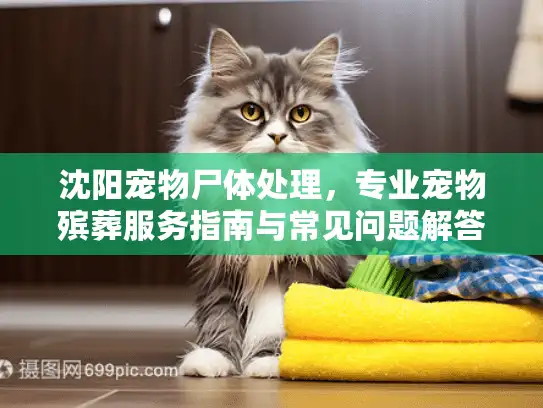 沈阳宠物尸体处理，专业宠物殡葬服务指南与常见问题解答