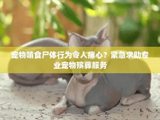 宠物啃食尸体行为令人痛心？紧急求助专业宠物殡葬服务