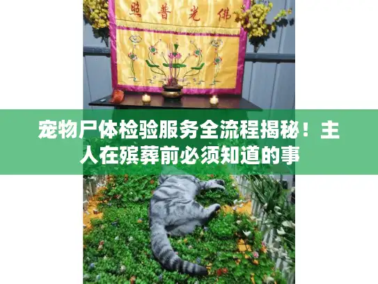 宠物尸体检验服务全流程揭秘！主人在殡葬前必须知道的事