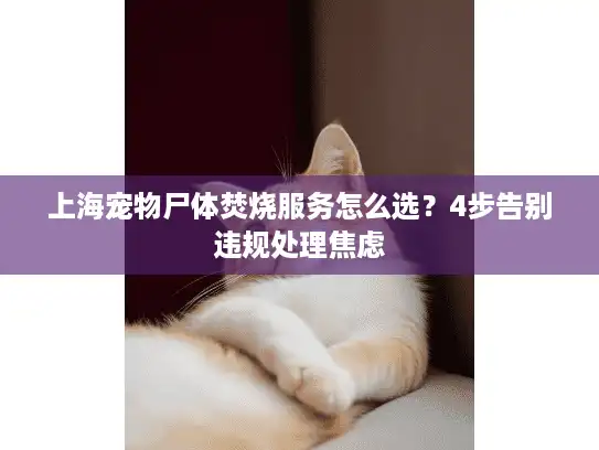 上海宠物尸体焚烧服务怎么选？4步告别违规处理焦虑