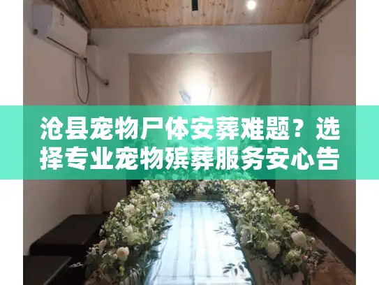 沧县宠物尸体安葬难题？选择专业宠物殡葬服务安心告别