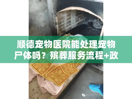 顺德宠物医院能处理宠物尸体吗？殡葬服务流程+政策说明