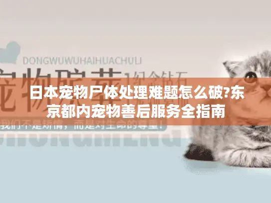 日本宠物尸体处理难题怎么破?东京都内宠物善后服务全指南