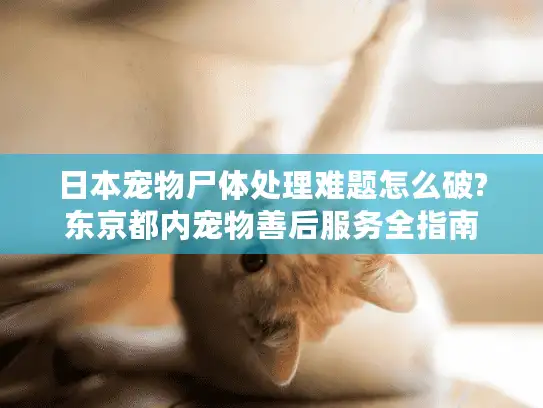 日本宠物尸体处理难题怎么破?东京都内宠物善后服务全指南