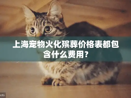 上海宠物火化殡葬价格表都包含什么费用？