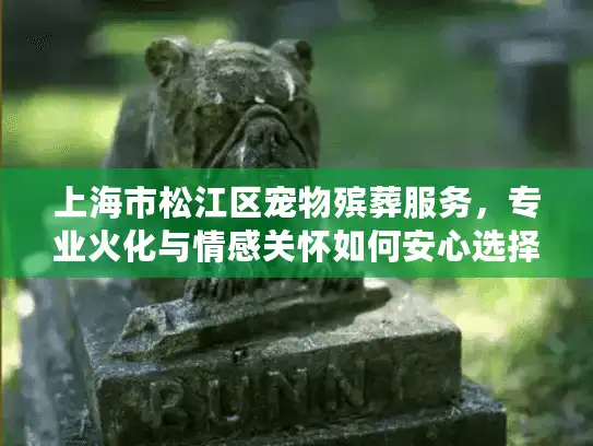 上海市松江区宠物殡葬服务，专业火化与情感关怀如何安心选择？